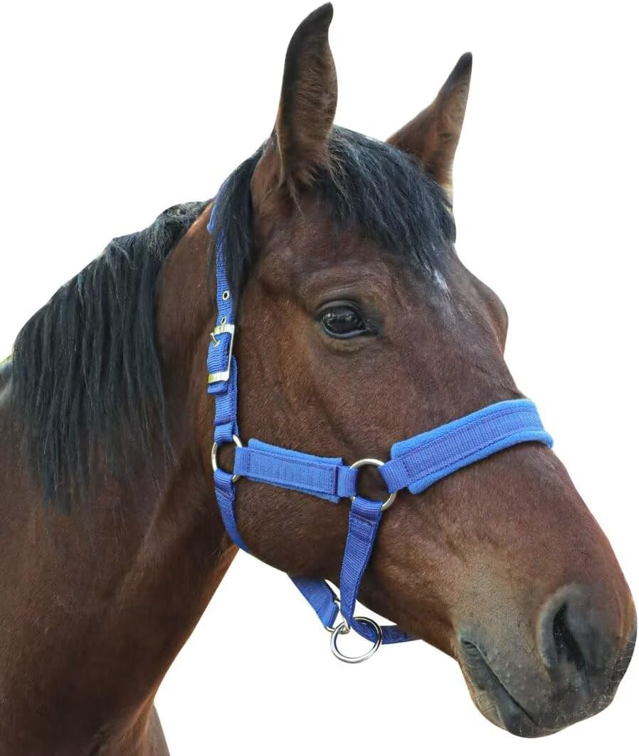 Horse Halter with Wool Lining, Adjustable Halter for Horses Satin Hardware to Prevent Friction