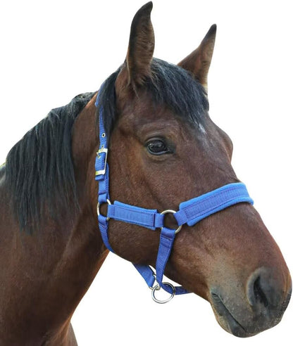 Horse Halter with Wool Lining, Adjustable Halter for Horses Satin Hardware to Prevent Friction