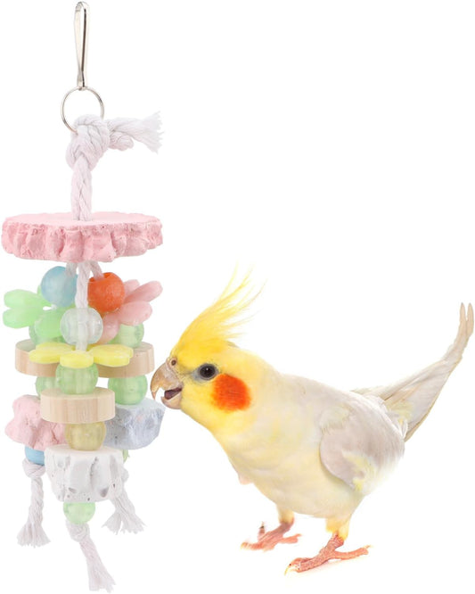 Hypeety Bird Calcium Teeth Grinding Stone Chew Treats Toy Beak Buffer Stone for Hamster Bird Parrot