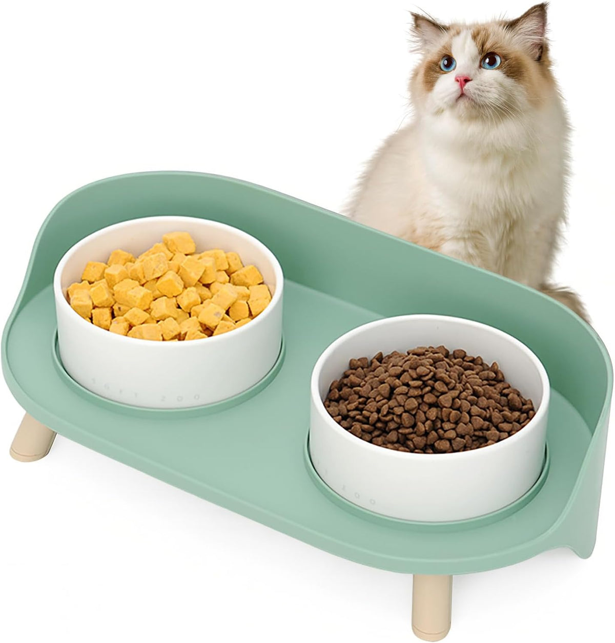 Elevated Dog Bowls Set, Ceramic Pet Food & Water Bowls with Non-Slip Stand, No Spill Design for