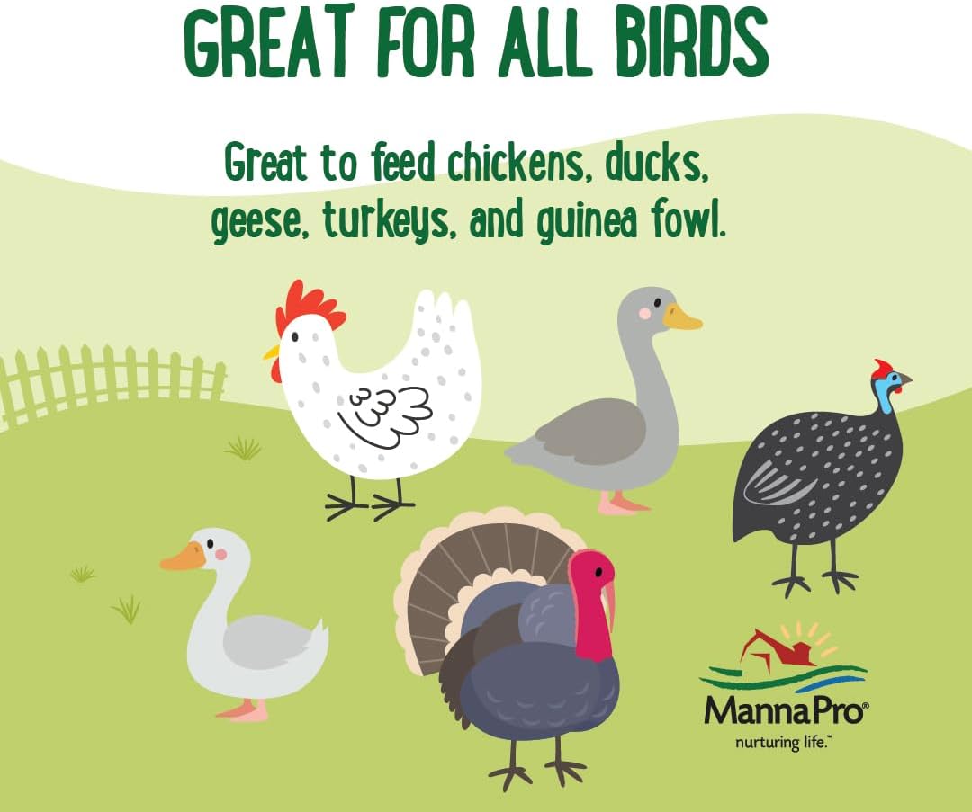 Manna Pro Farmhouse Favorites Oat & Mealworm Mix Poultry Treat – Natural Protein Source