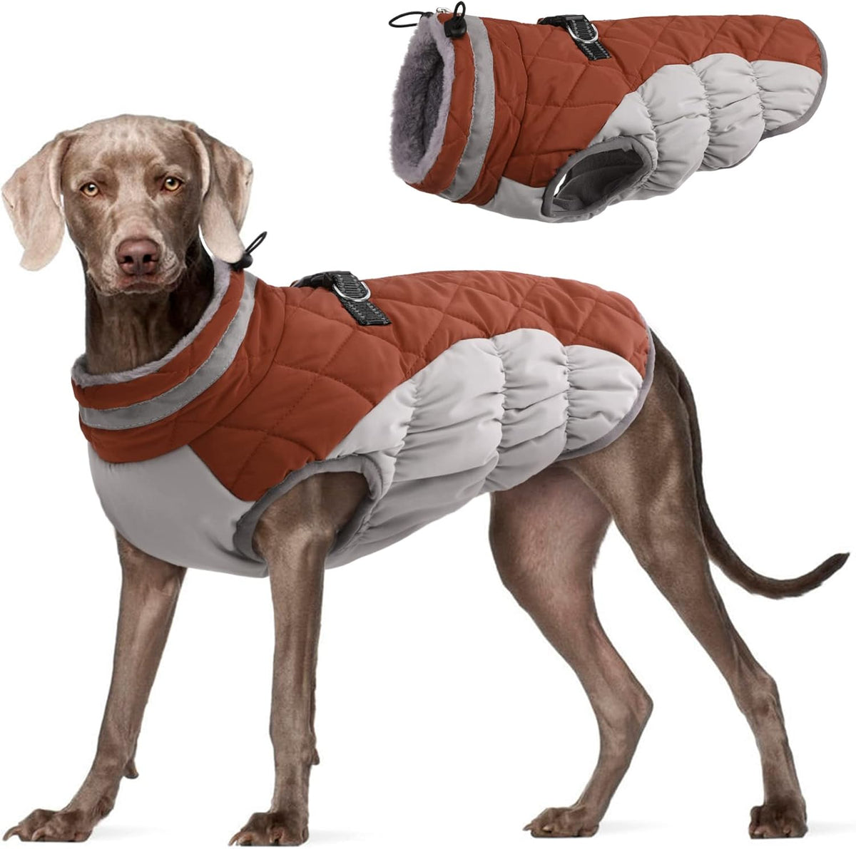 FUAMEY Dog Coat for Large Dogs,Waterproof Dog Winter Jacket with Harness Built in Puppy Cold