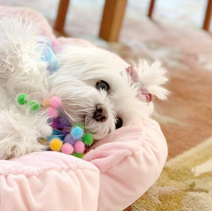 TONBO Soft Plush Small Cute and Cozy Pastel Pink Flower Dog Cat Bed, Washer and Dryer Friendly