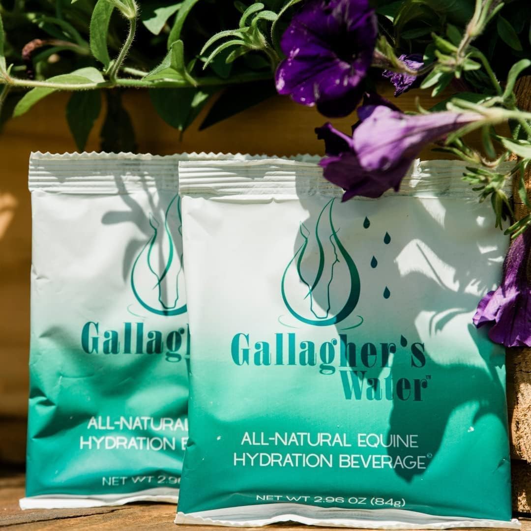 Gallagher's Water 12 Pack All-Natural Equine Hydration Treat - Enhancement Powder Mix Horse Drink