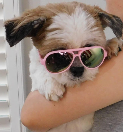 G029 Dog Cat Pet Aviator Pilot Sunglasses Glasses for Small Breeds up to 15lbs (2-Pack Black +