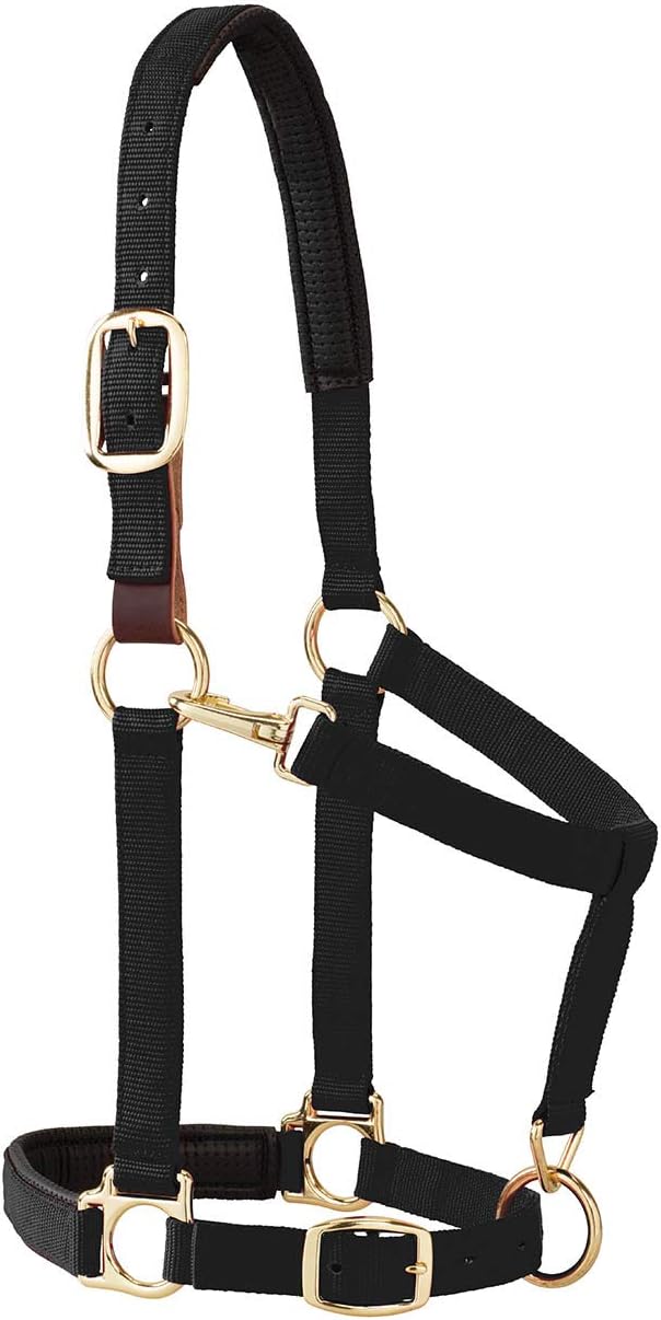 Weaver Equine Breakaway Horse Halter, Comfort Foam Padding, Adjustable Chin & Throat Snap Halters