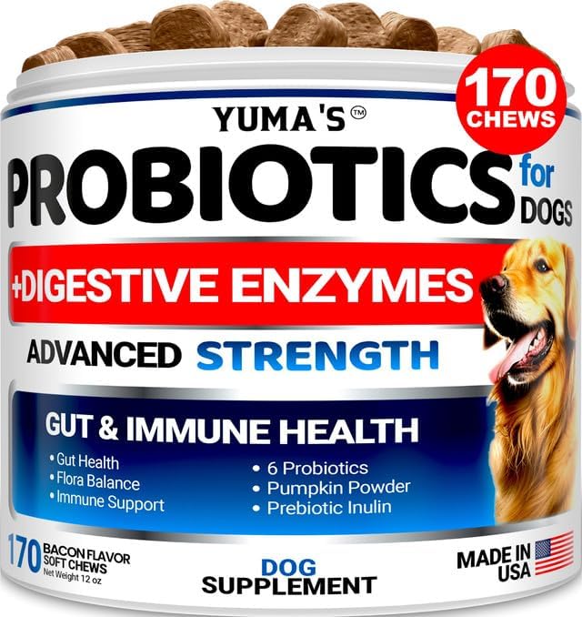 Probiotics for Dogs and Digestive Enzymes - 170 Dog Probiotics Chews - Dog Probiotic - Anti