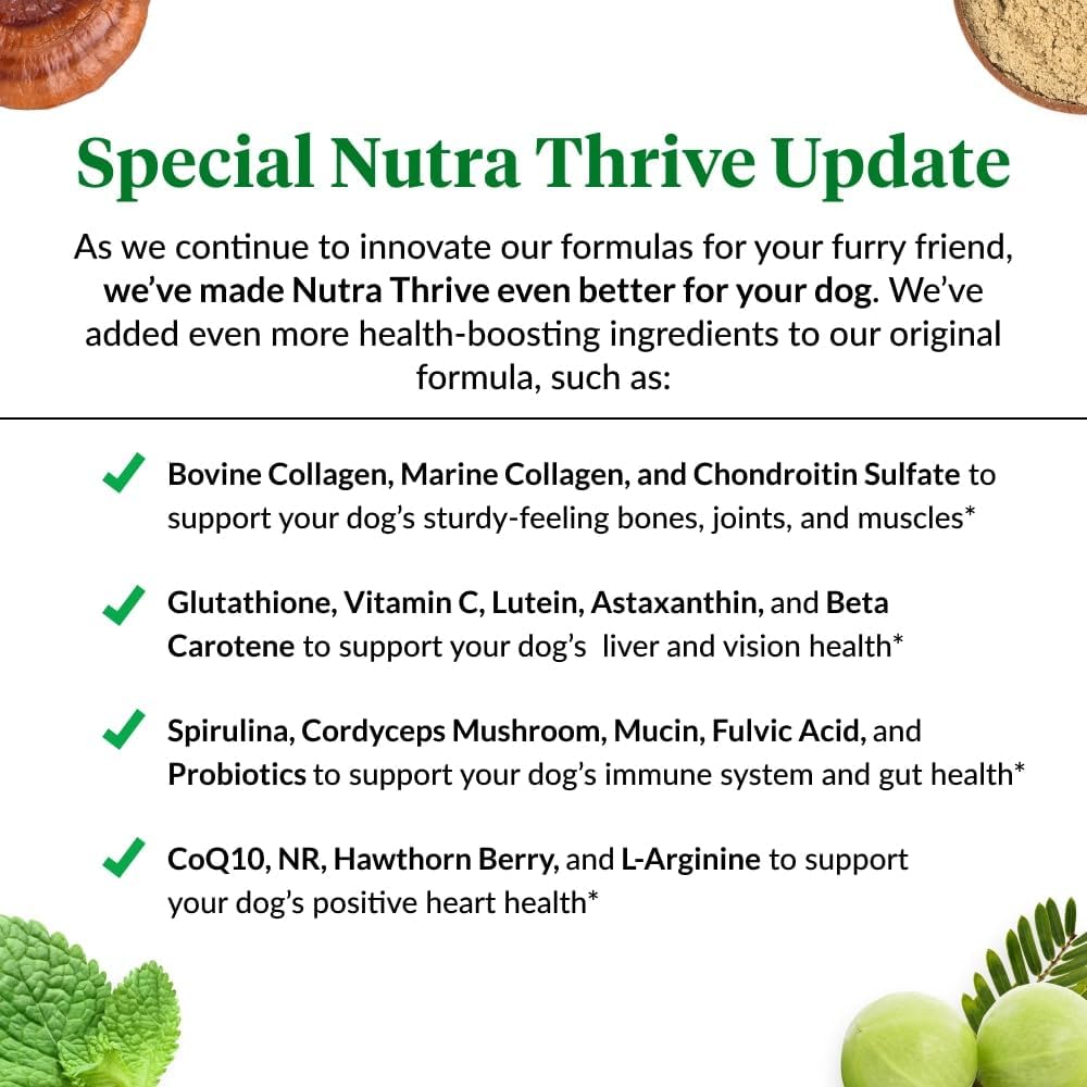 Ultimate Pet Nutrition Nutra Thrive Canine, 40-in-1 Nutritional Powder Supplement for Dogs with