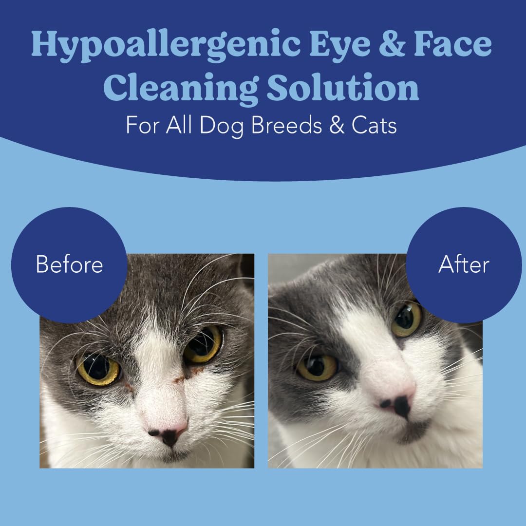 ANGELS' EYES Gentle Tear Stain & Pet Eye Wipes for All Dogs & Cats Textured Grooming Wipes Remove