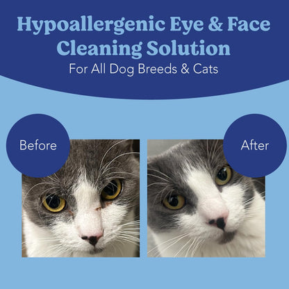 ANGELS' EYES Gentle Tear Stain & Pet Eye Wipes for All Dogs & Cats Textured Grooming Wipes Remove