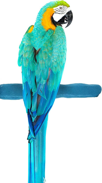 Comfort Grip Safety Perch for Bird Cages - Pedicure Perch for Birds to Keep Nails and Beaks in Top