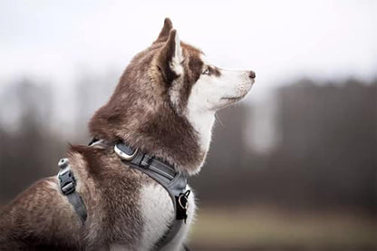 TRUE LOVE Adjustable No-Pull Dog Harness Reflective Pup Vest Harnesses Comfortable Control