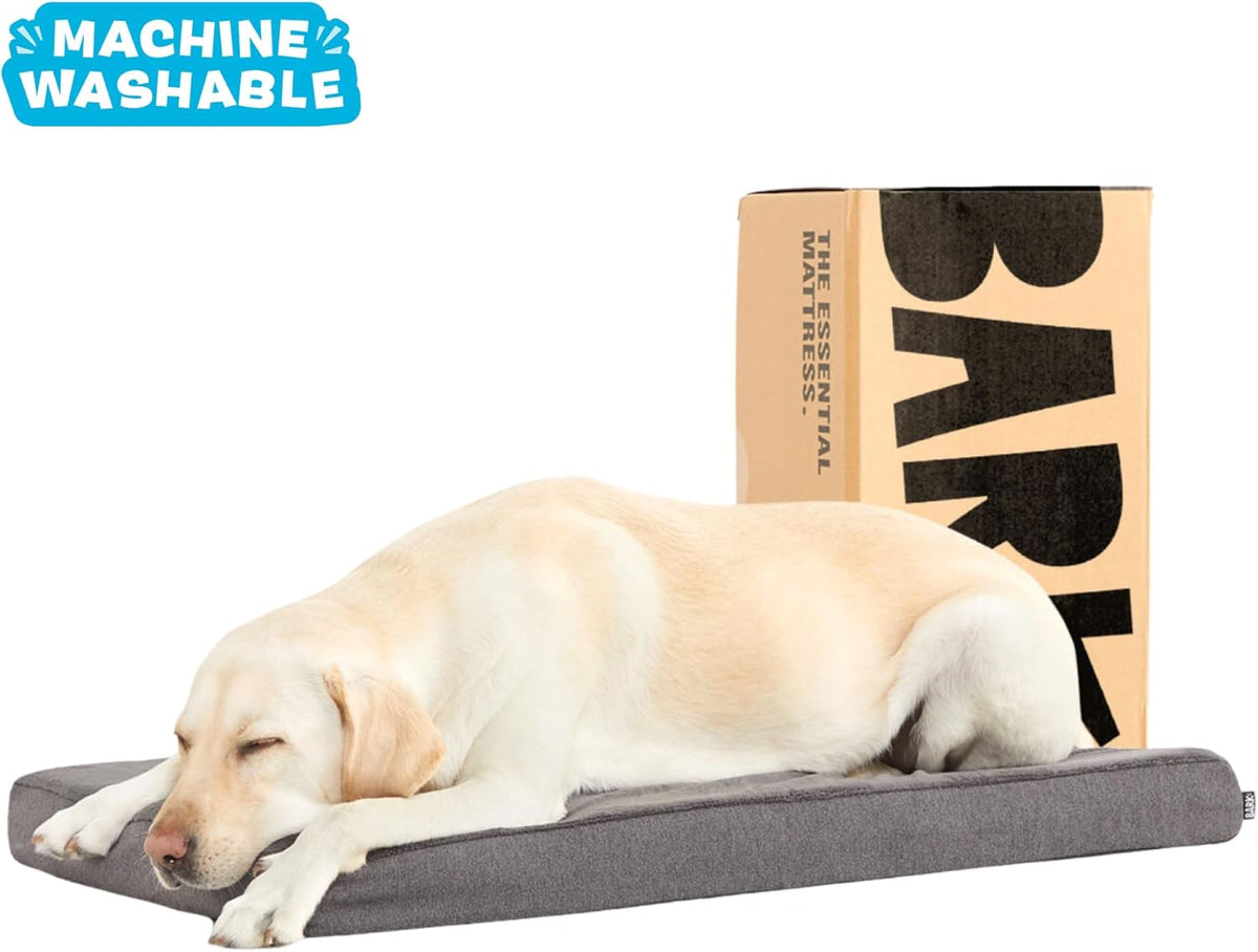 Barkbox Orthopedic Dog Bed with Memory Foam, Premium Comfort for Dogs and Puppies, Large Sized Dog