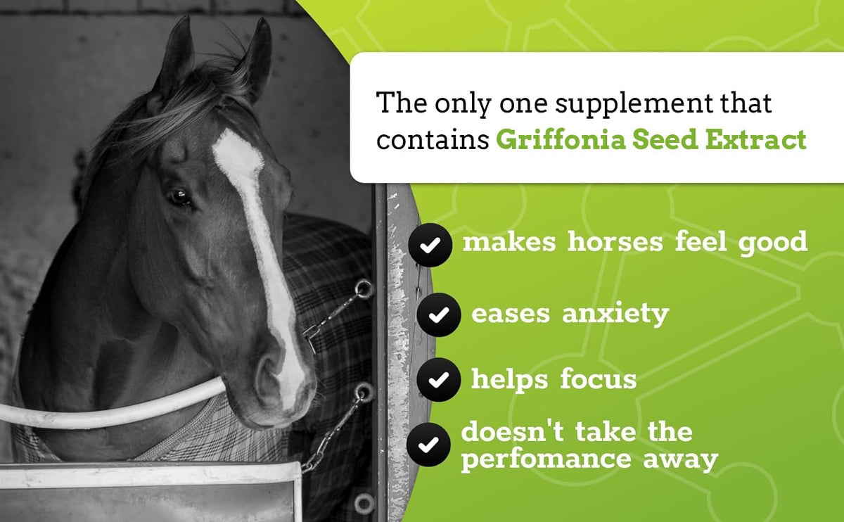 SynChill Oral Horse Calming Gel, 100% Natural & Nutritional Supplement, Lab Proven Results