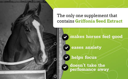 SynChill Oral Horse Calming Gel, 100% Natural & Nutritional Supplement, Lab Proven Results