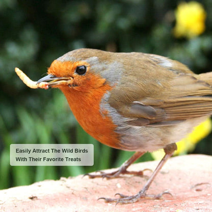 Dried Mealworms, High-Protein Bulk Mealworms 22Lbs, 100% Non-GMO Mealworm Treats for Birds