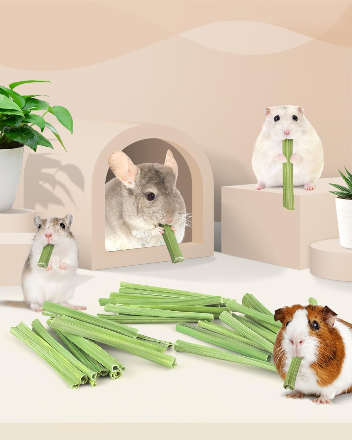 Bissap 25 PCS Guinea Pigs Chew Sticks, Natural Papaya Stems Bunny Chews Treats for Hamsters