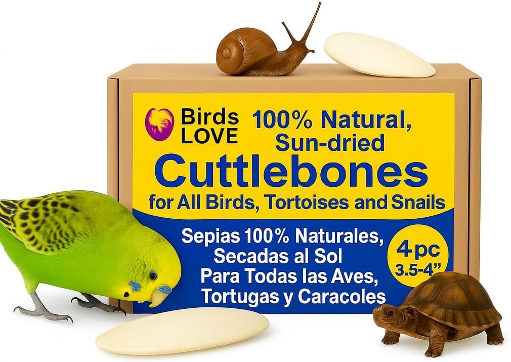 Birds LOVE 4-Piece Cuttlebone 3.5–4-Inch with Holder – Natural Calcium & Trace Mineral Block for