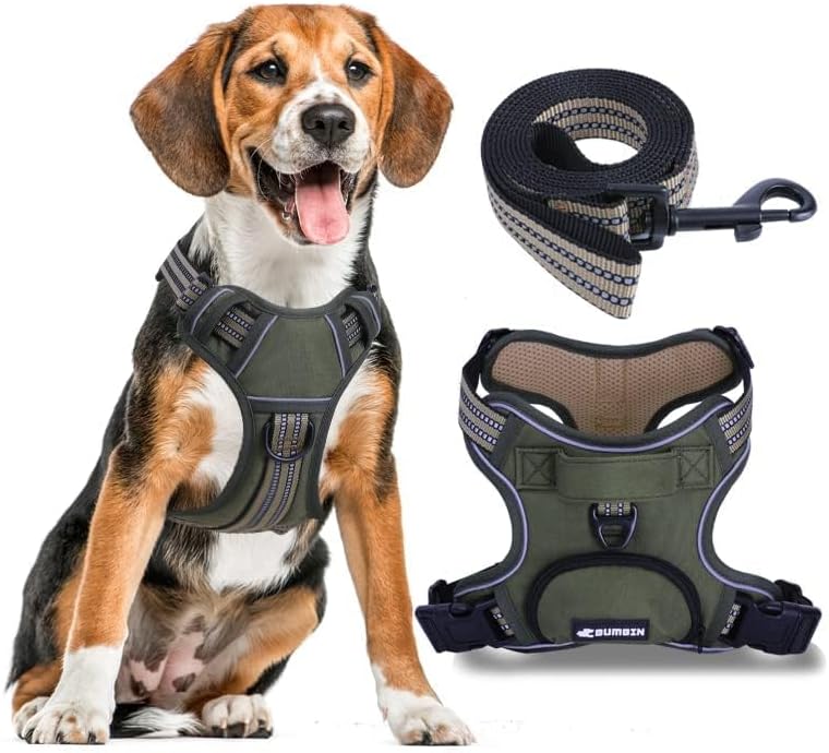 No Pull Dog Harness for Large Dogs, Adjustable No Choke Pet Vest with Dog Leash Fit Smart