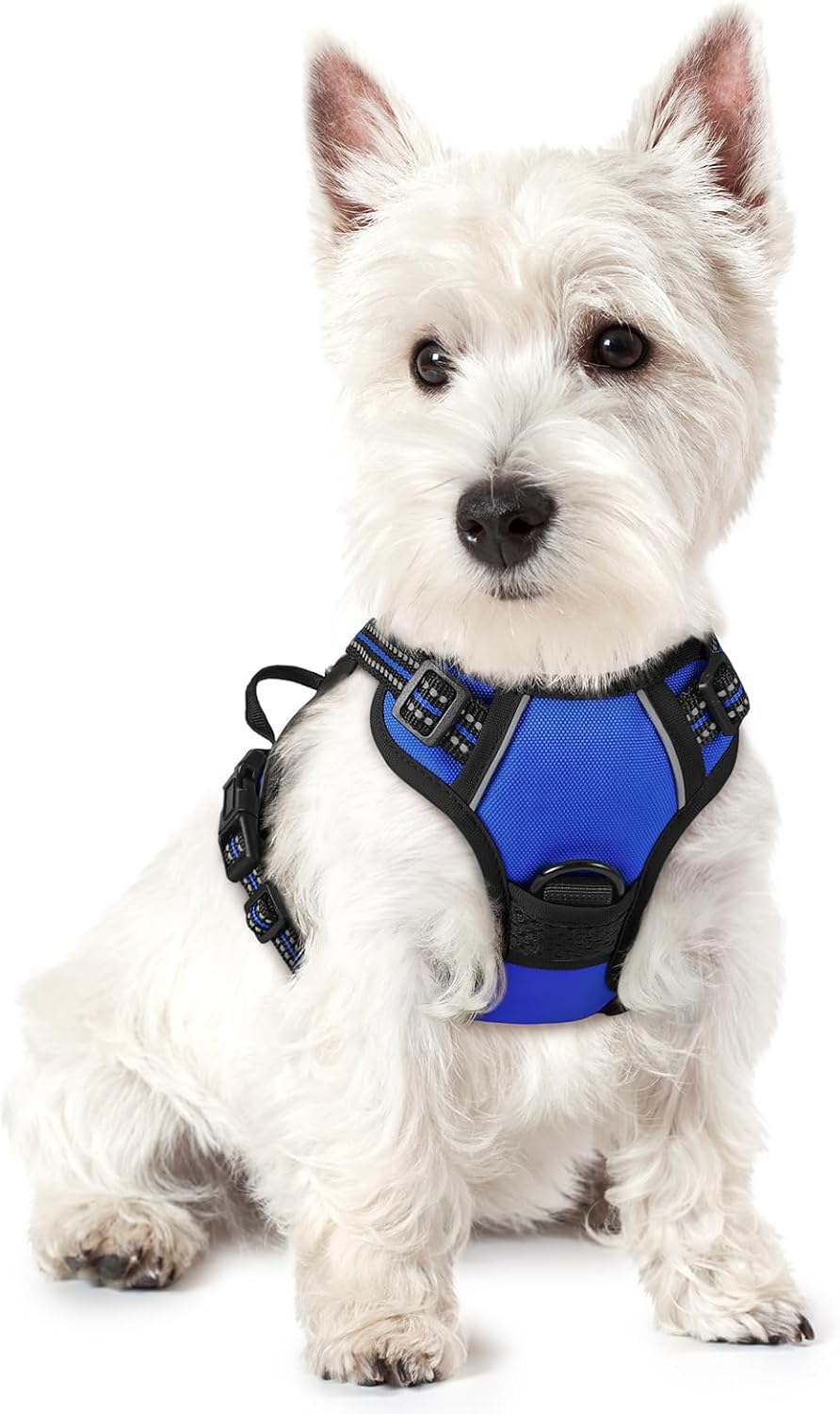 rabbitgoo Dog Harness No Pull with 2 Leash Clips, Adjustable Soft Padded, Reflective Oxford No