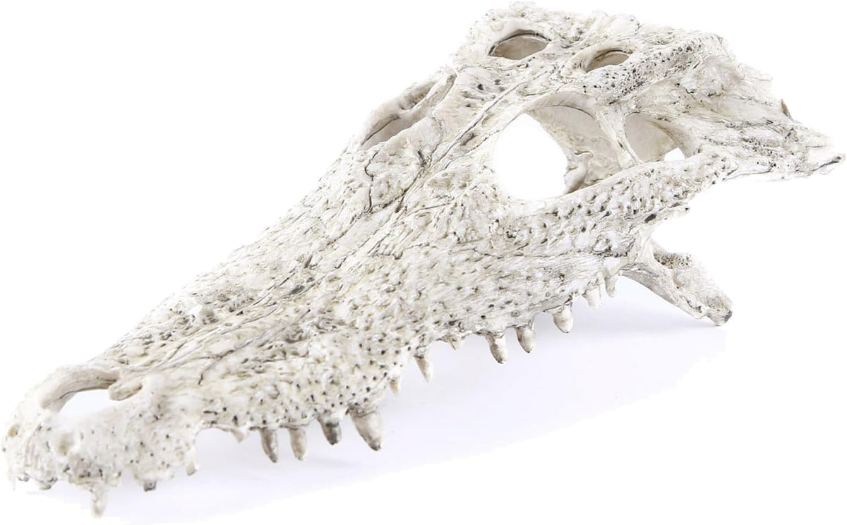 Animal Skull Fish Aquarium Hideout Decorations Cave Dinosaur Reptile Ornament Halloween Décor for