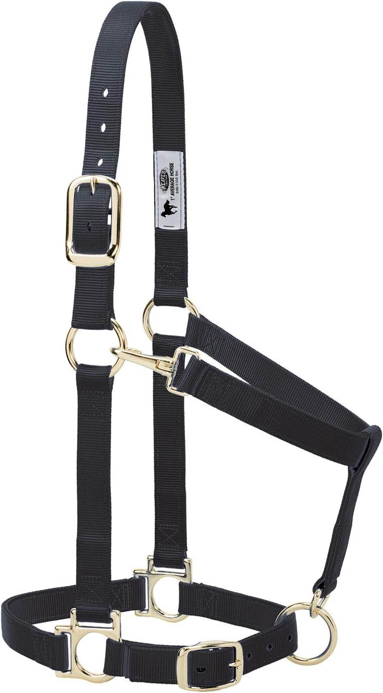 Weaver Leather Nylon Horse Halter, Padded and Adjustable, Chin and Throat Snap Hook Halters for