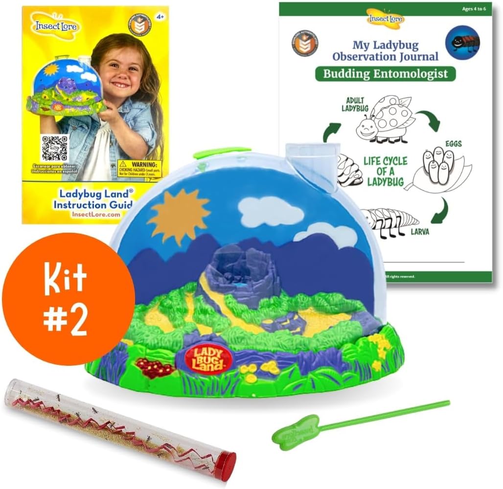 Insect Lore Bug Camp Bundle | Butterfly Kit with 1 Cup Live Caterpillars | Ladybug Land with 1 Tube