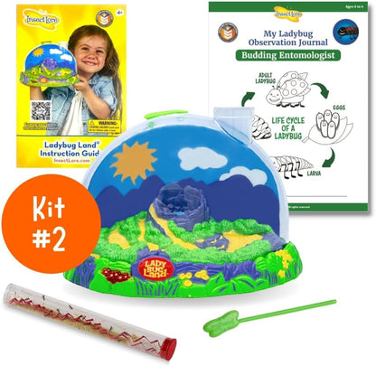 Insect Lore Bug Camp Bundle | Butterfly Kit with 1 Cup Live Caterpillars | Ladybug Land with 1 Tube