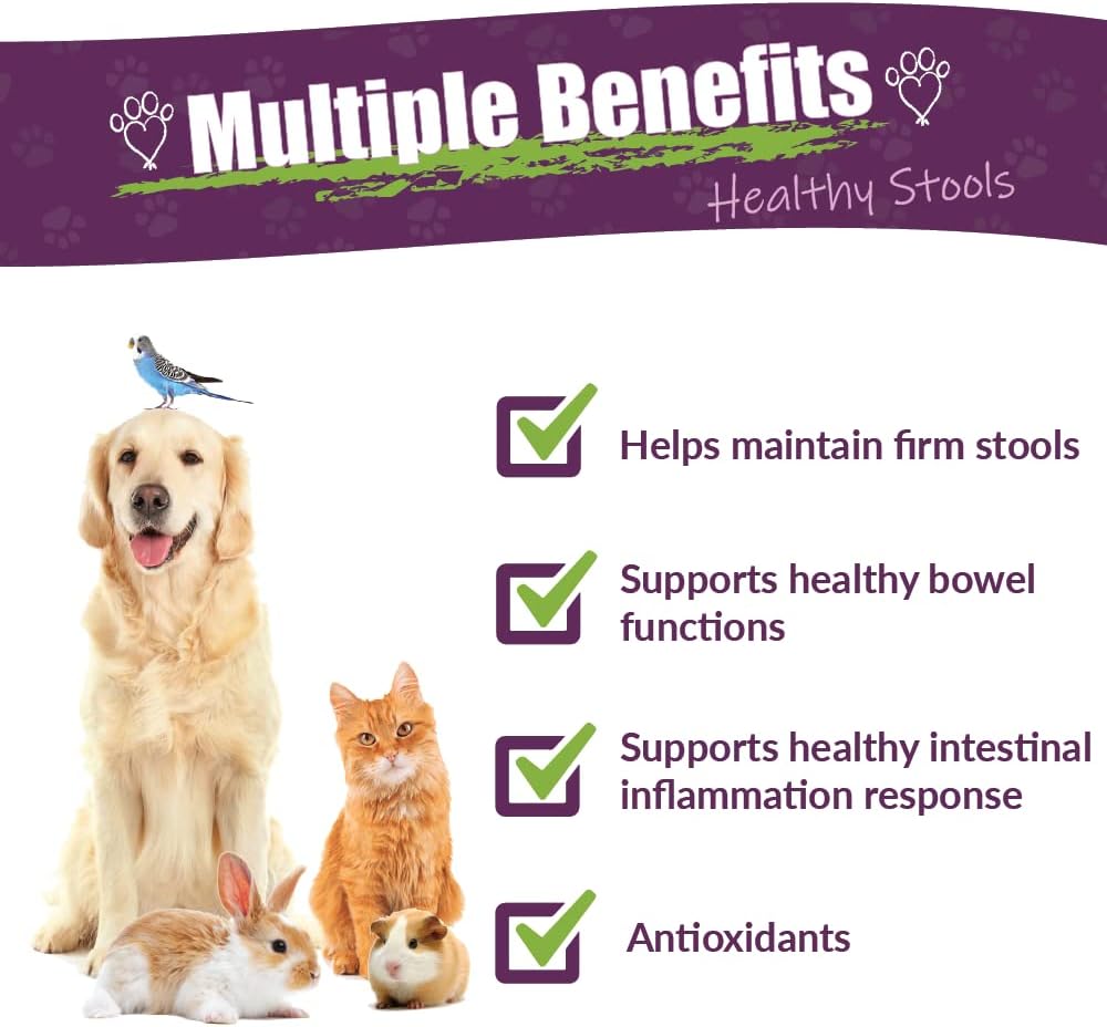 Amber NaturalZ Kochi Free Herbal Supplement for Dogs, Cats, Birds, Guinea Pigs, and Rabbits | Pet