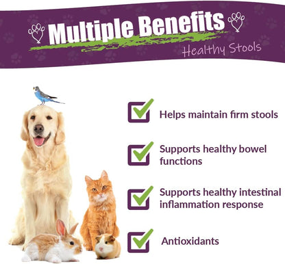 Amber NaturalZ Kochi Free Herbal Supplement for Dogs, Cats, Birds, Guinea Pigs, and Rabbits | Pet
