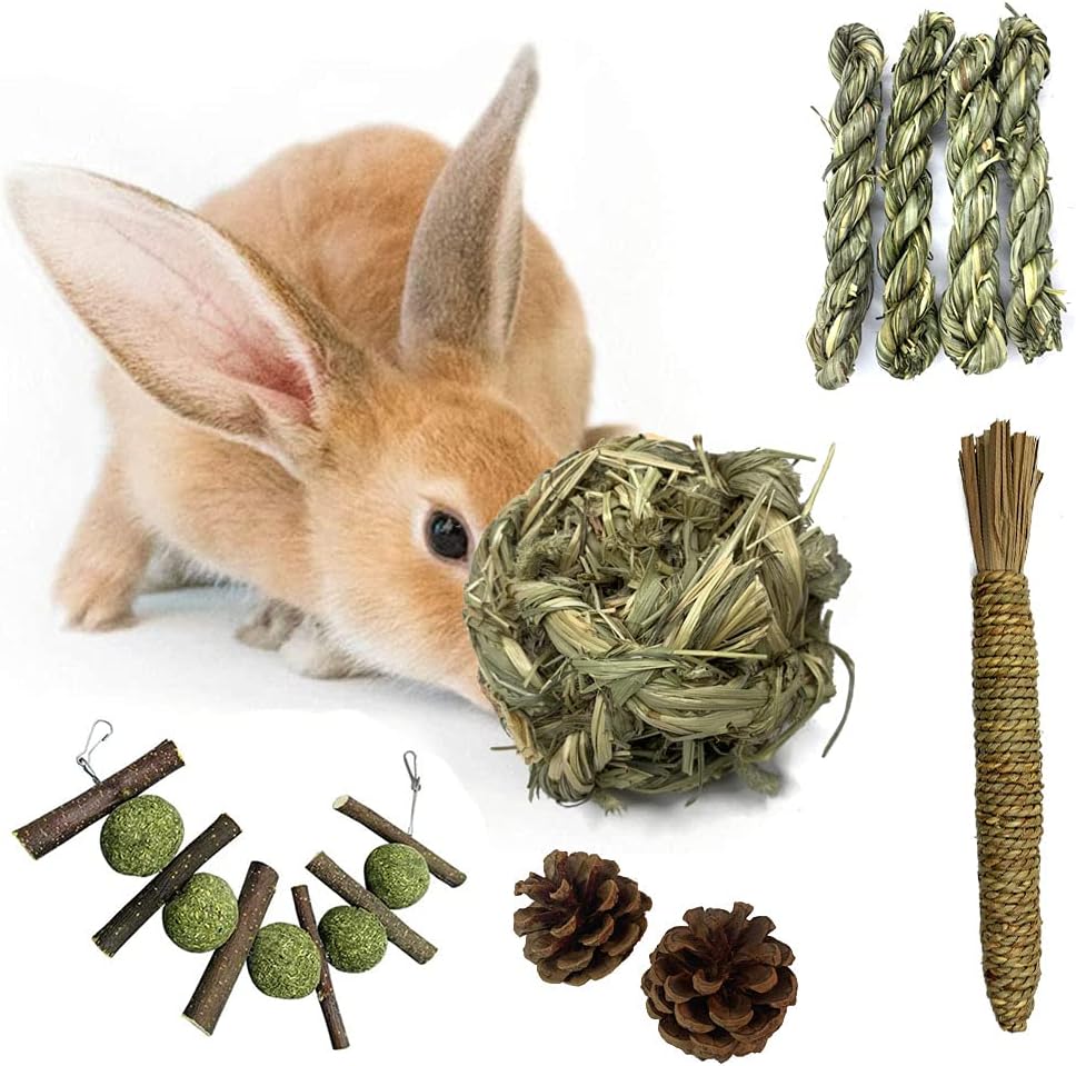 Hamiledyi Rabbit Seagrass Mat Bunny Chew Toys for Teeth Hanging Activity Mat Rabbit Enrichment