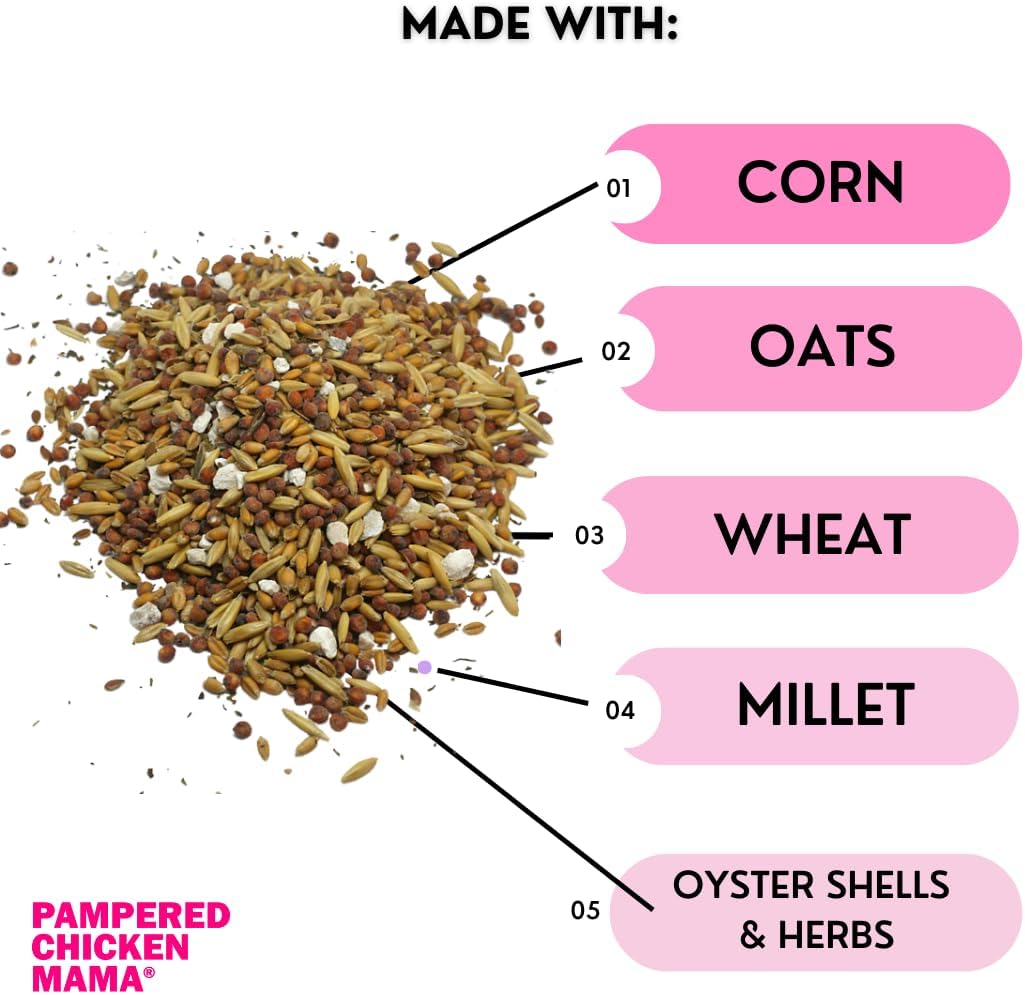 Pampered Chicken Mama Chick Feed - Premium Chicken Scratch Treat - High Protein & Calcium Grower