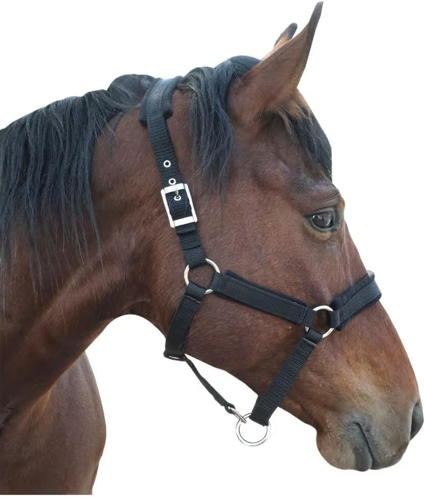 Horse Halter with Wool Lining, Adjustable Halter for Horses Satin Hardware to Prevent Friction