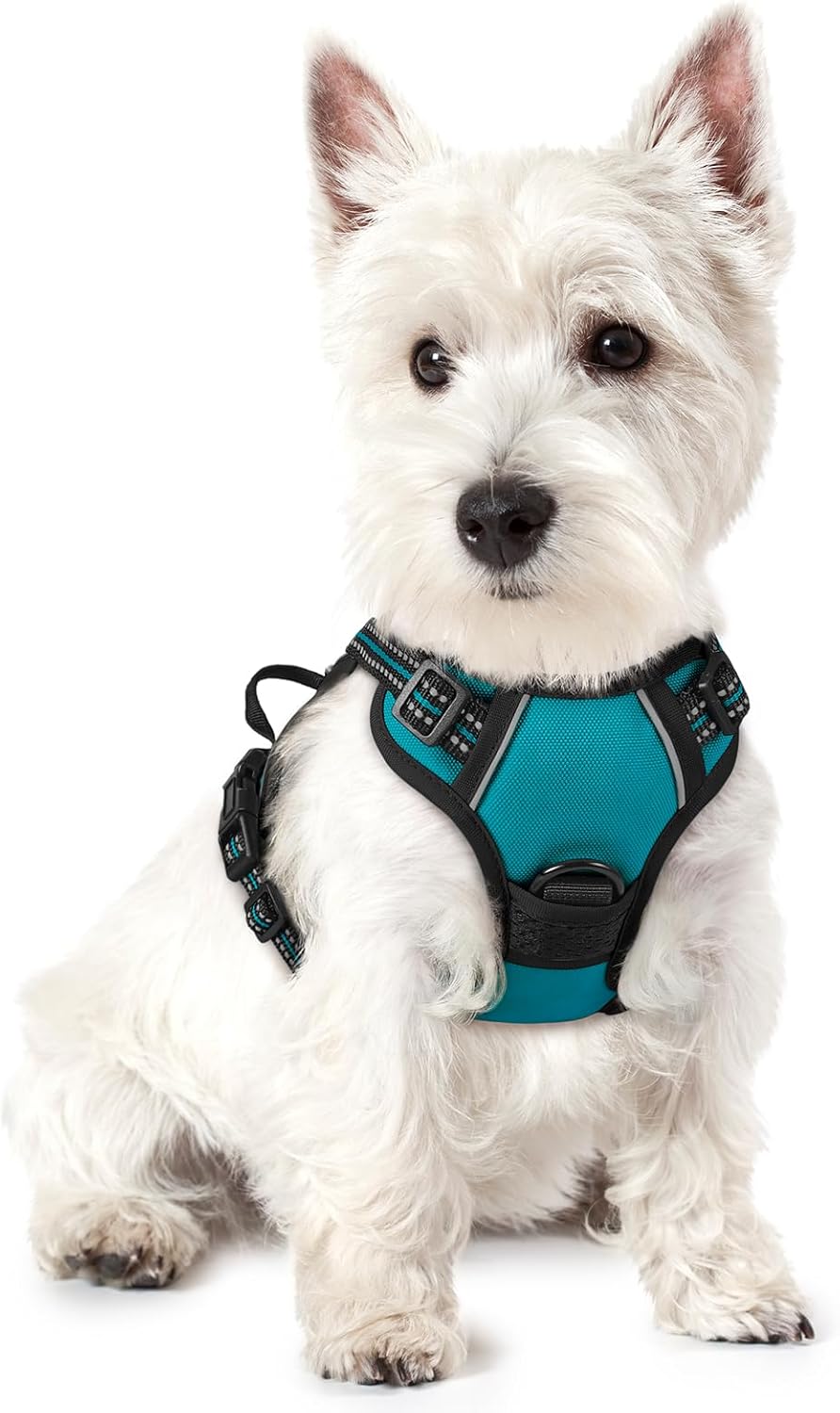 rabbitgoo Dog Harness No Pull with 2 Leash Clips, Adjustable Soft Padded, Reflective Oxford No