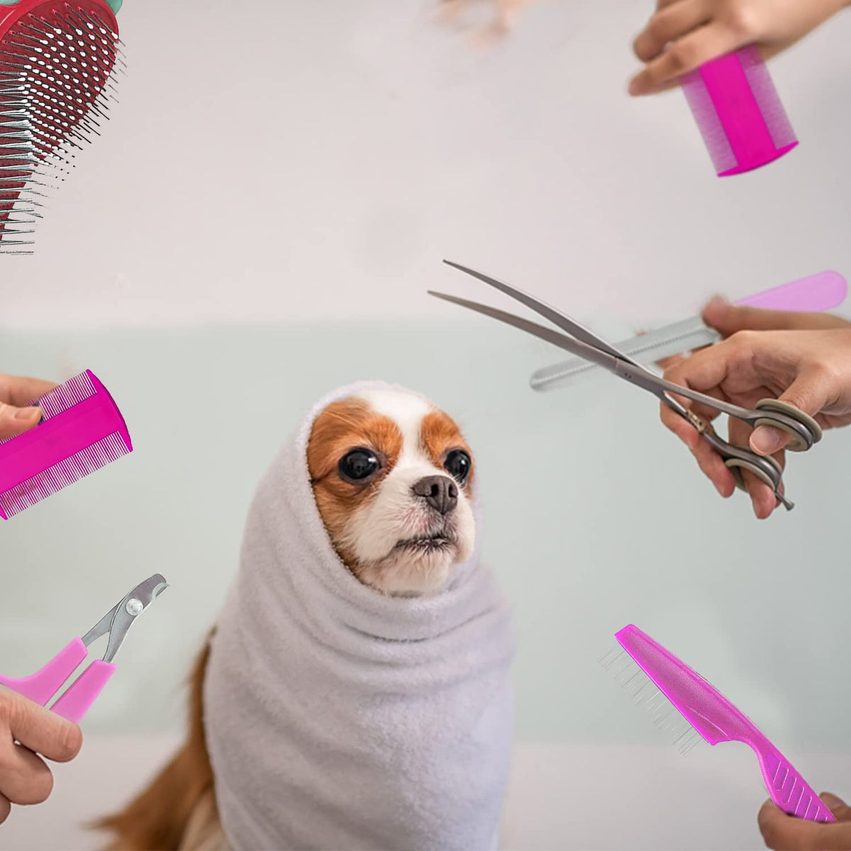 7-Piece Small Pet Grooming Kit: Brush, Nail Clippers, Hair Remover, Shampoo Brush with Hand Strap