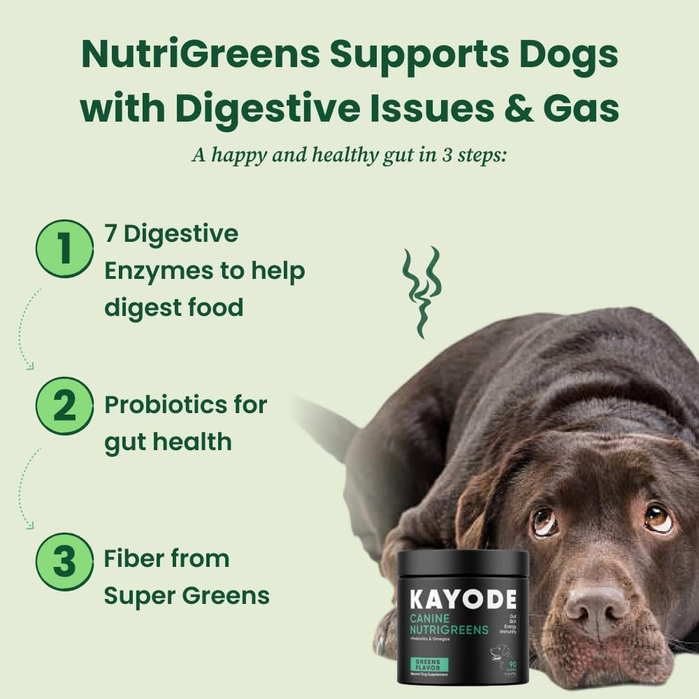 Canine NutriGreens - Natural Dog Vitamins & Probiotics for Dogs. No Messy Powder. Includes
