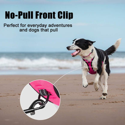 PoyPet No Pull Dog Harness, Reflective Comfortable Vest Harness with Front & Back 2 Leash