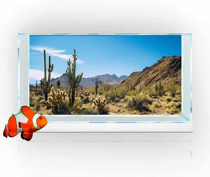 Reptile Habitat Background, Retro Desert Oasis Cactus Terrarium Background 30X12 in Background with