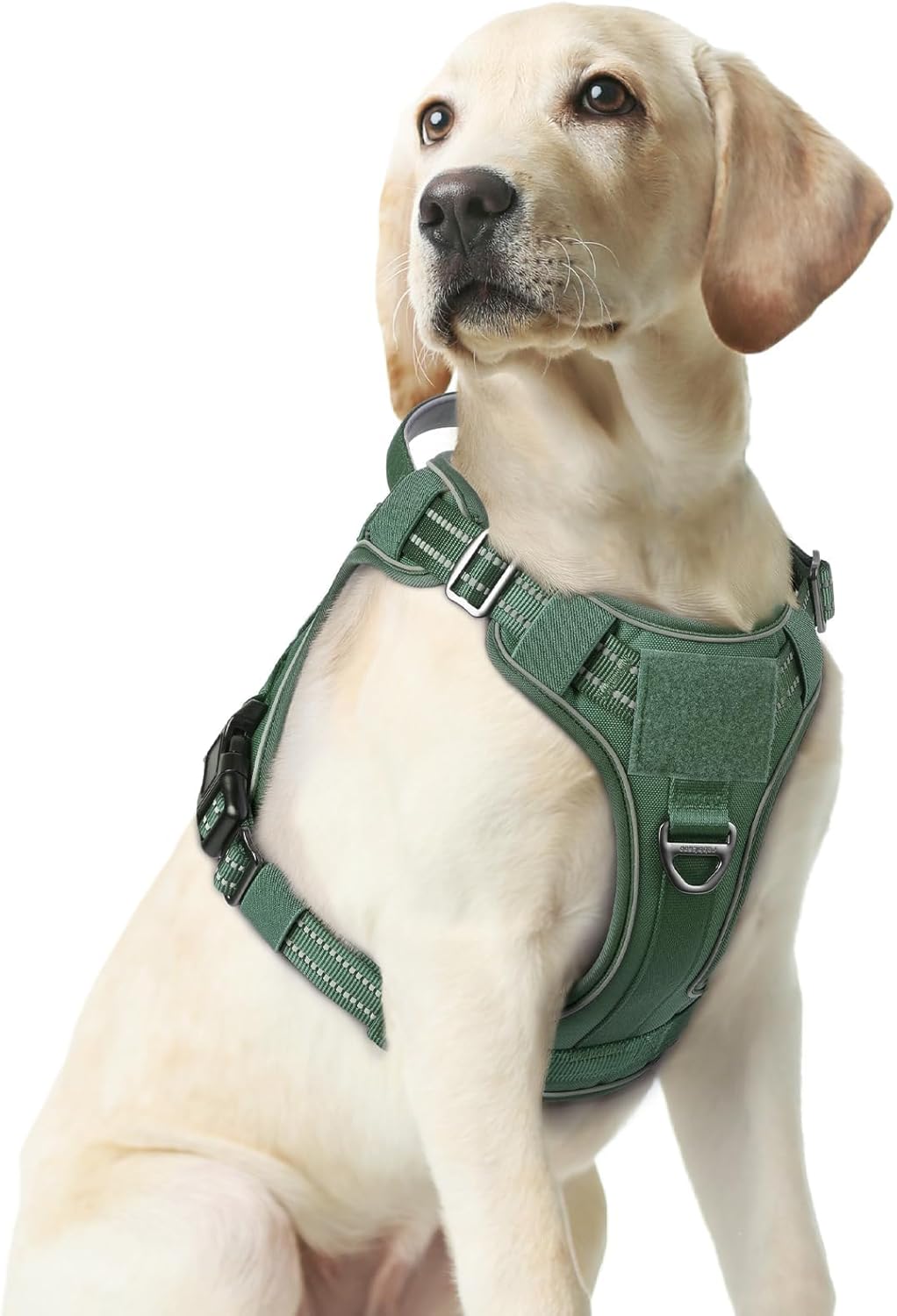 rabbitgoo Dog Harness Medium Sized No Pull, Tactical Service Pet Vest with Molle and Control