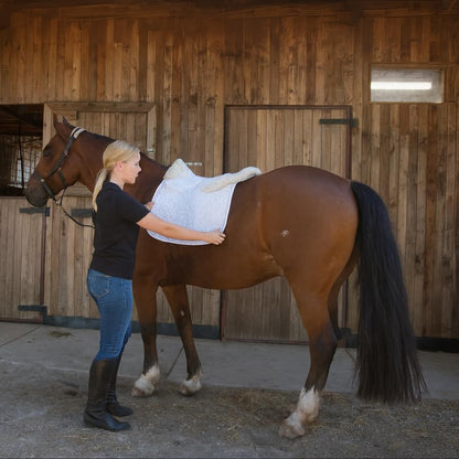 Woolous Dressage Saddle Pad, English Saddle Pad with Sheepskin Trim, Lambskin Wool Fleece Lining