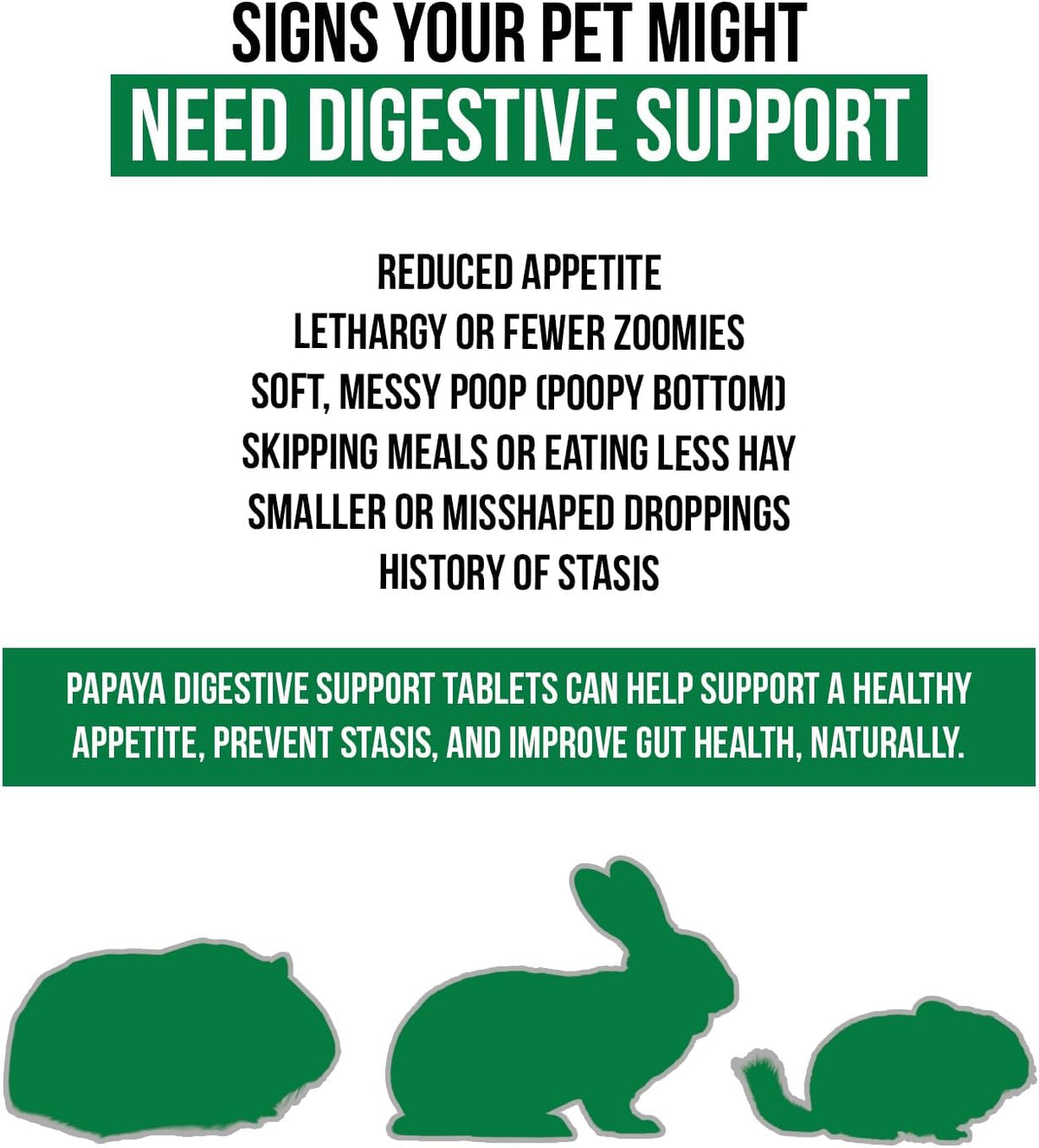 Digestive Support, Papaya by Sherwood Pet Health (100 Tablets - 60 Grams). Contains Natural