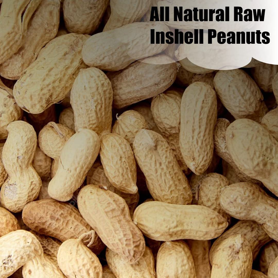 Old Potters Wildlife in-Shell Peanuts for Birds, Squirrels and Wildlife. USA Grown Non-GMO Raw