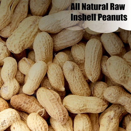 Wildlife in-Shell Peanuts, 25 lbs for Birds, Squirrels, and Wildlife. USA Grown Non-GMO, Organic