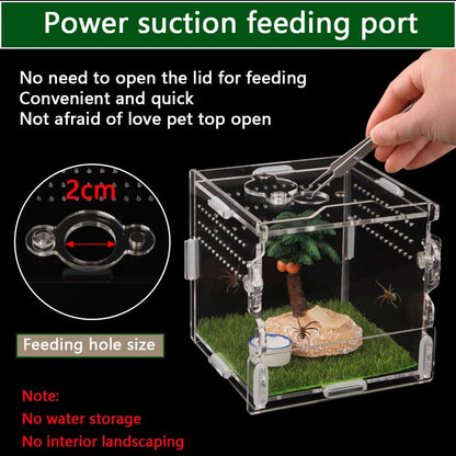 Reptile Terrarium,Tarantula Enclosure,Jumping Spider Enclosure for Tarantula Scorpion Sling Isopods