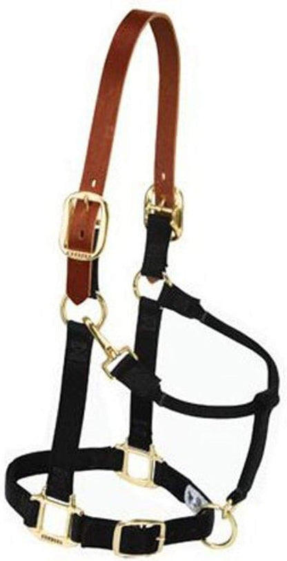 Weaver Equine Breakaway Horse Halter, Supple Leather Crown, Adjustable Chin & Throat Snap Halters