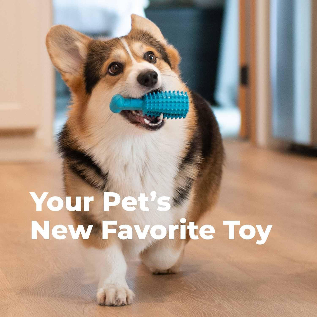 Oxyfresh Dog Dental Chew Toy - Best Durable Rubber Dog Toy & Puppy Teething Toy - Helps Remove