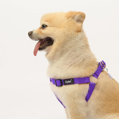 PUPTECK No Pull Dog Harness Soft Adjustable Basic Nylon Step in Puppy Vest Outdoor Walking with ID