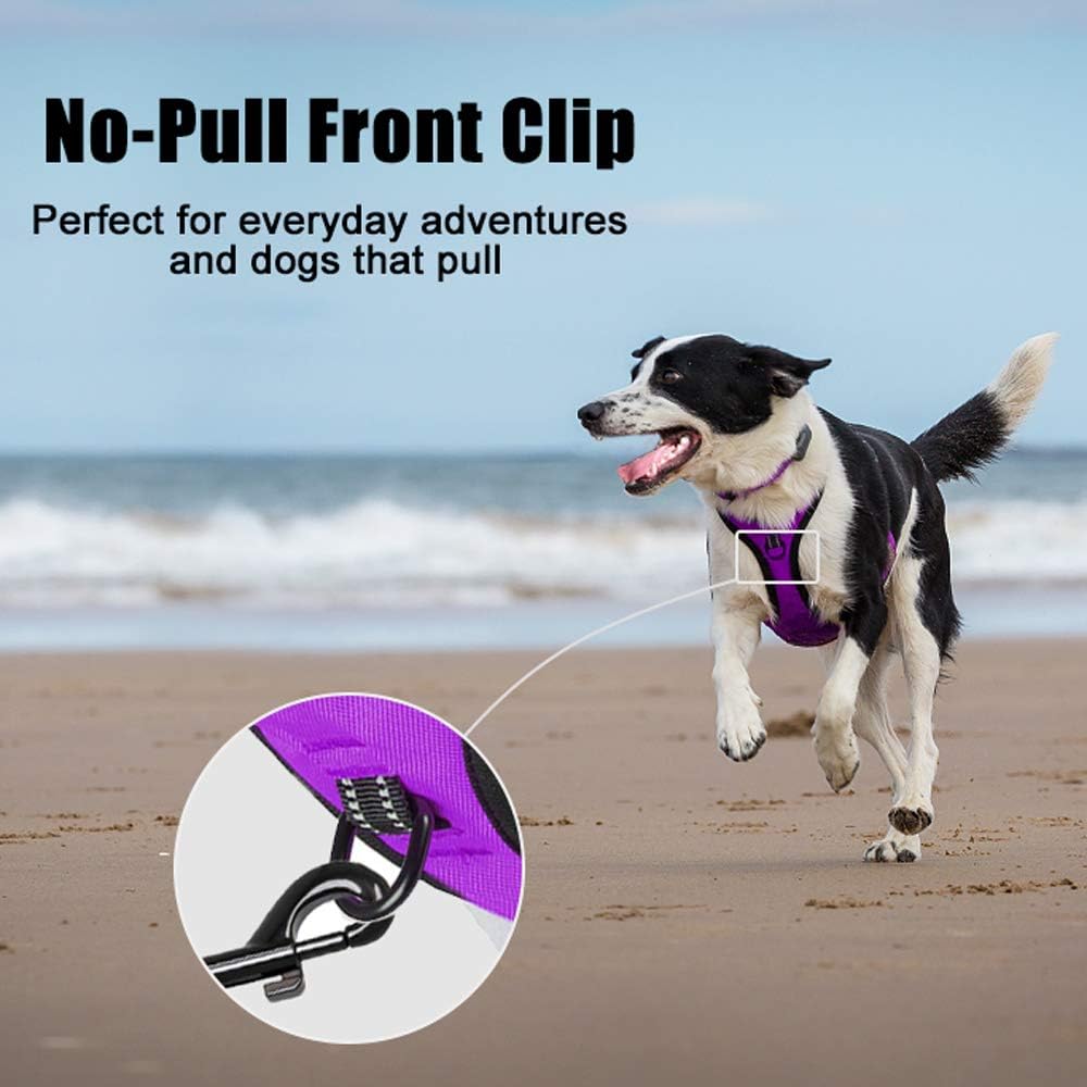 PoyPet No Pull Dog Harness, Reflective Comfortable Vest Harness with Front & Back 2 Leash