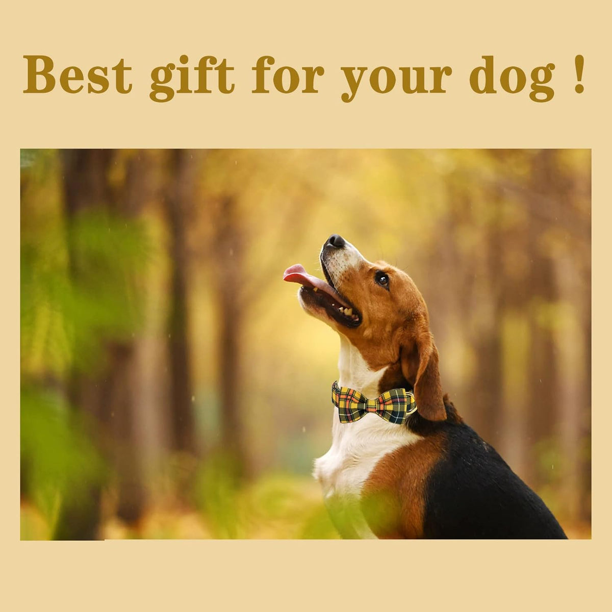 Unique style paws Bowtie Dog Collar Cotton Plaid Collar Adjustable Puppy Collar for Small Medium