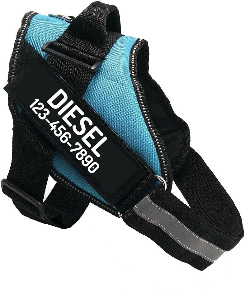 PawPawify Custom No Pull Dog Harness with Name and Phone Number, Heavy Duty Personalized Pet Vest